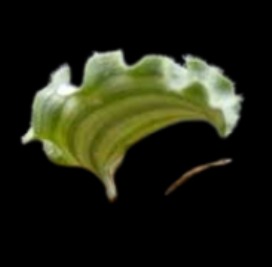 508626420_2864054480449627_739131008817527037_n.jpg