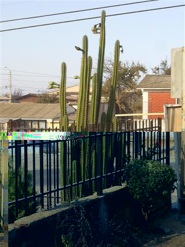 foto tomada en la calle