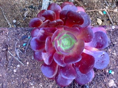 abril 026.jpg