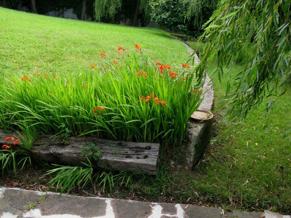891.vigas y crocosmias.jpg