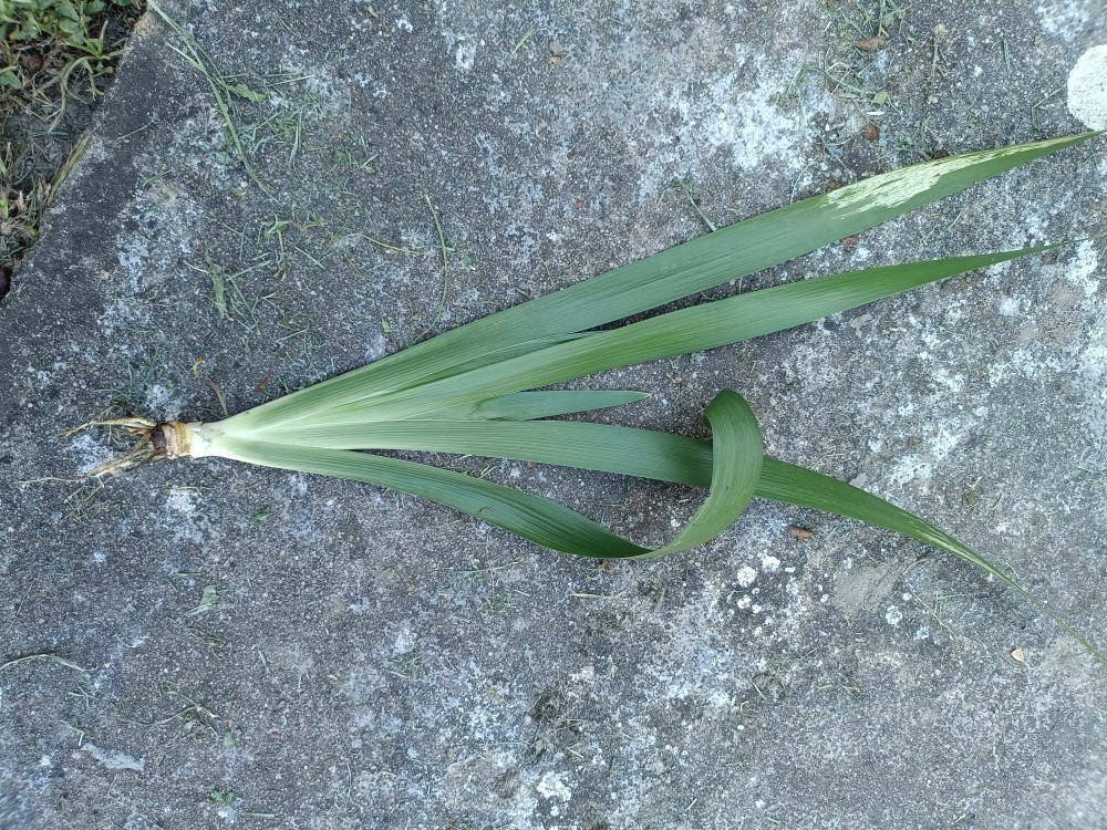 IMG20240915183214.jpg