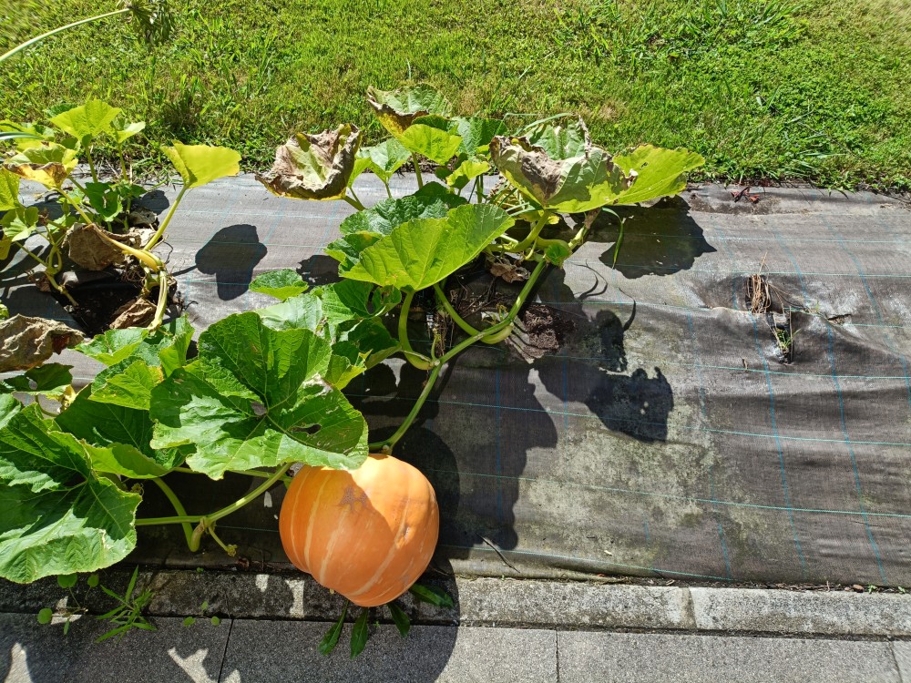 IMG20250801170322.jpg