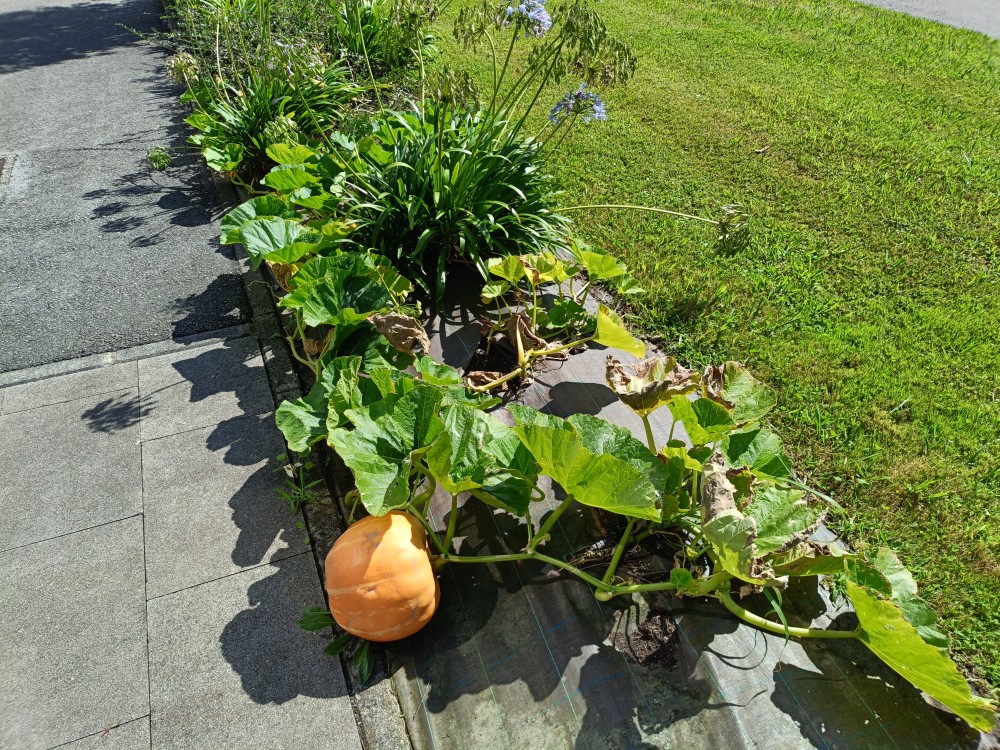 IMG20250801170349.jpg