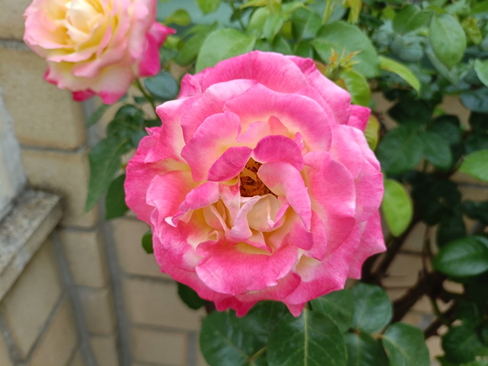 IMG20250819175932.jpg
