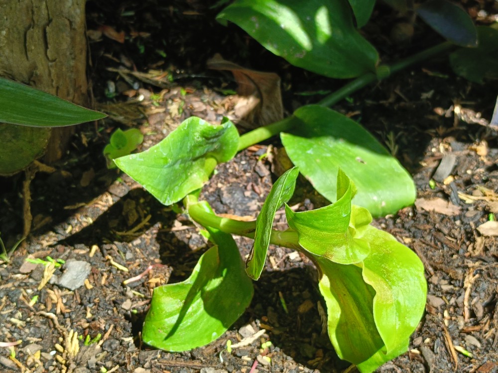 IMG20250823122115.jpg