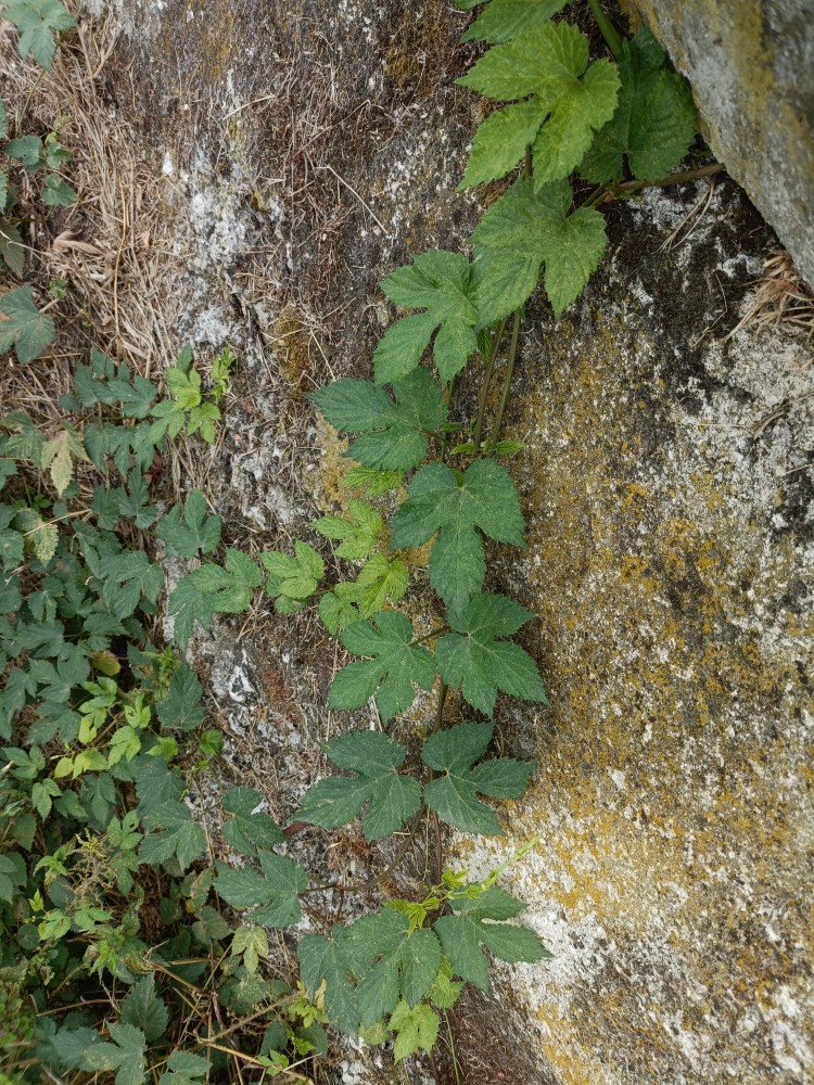 IMG20250819124203.jpg