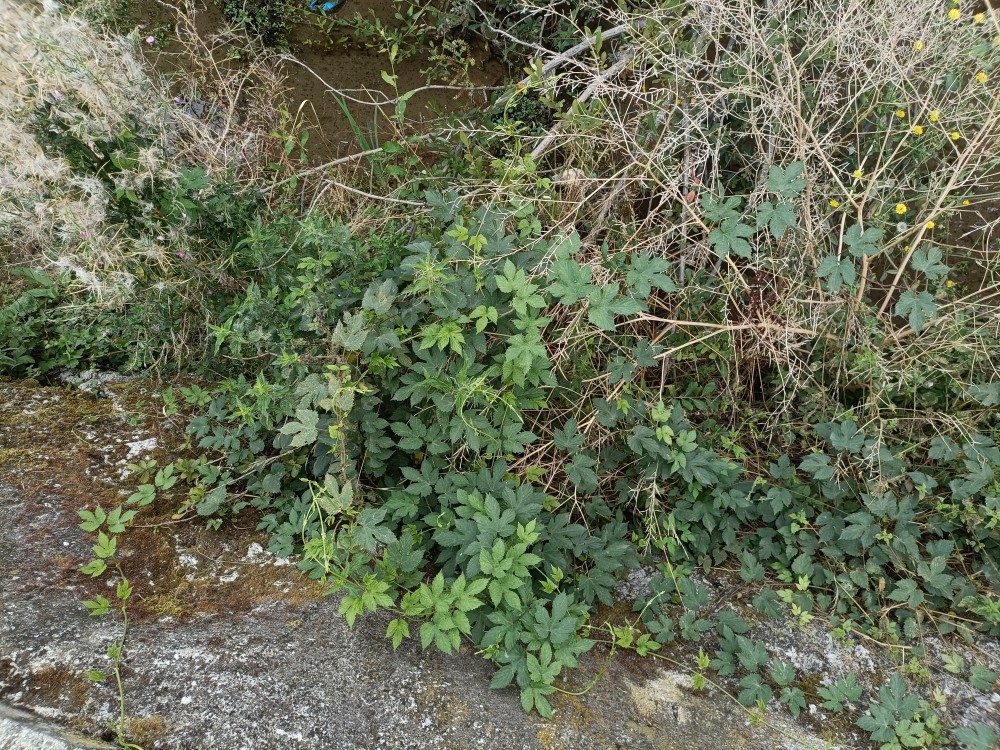 IMG20250819124158.jpg