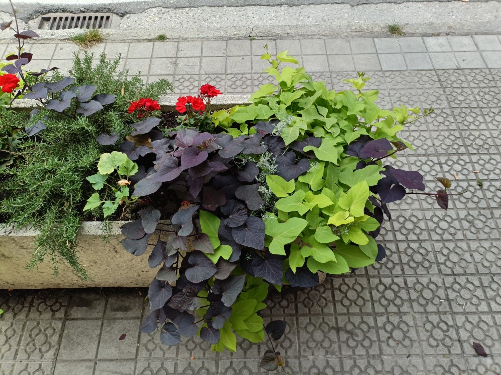 IMG20250819123143.jpg