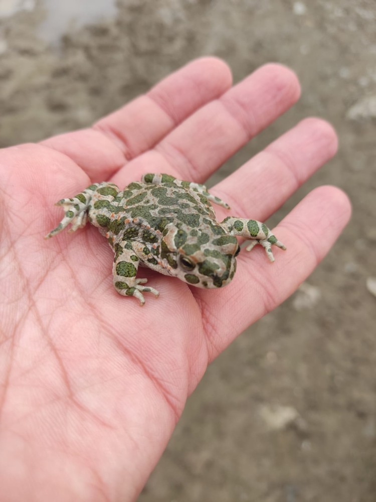 WhatsApp Image 2025-10-20 at 21.40.37 (1).jpeg