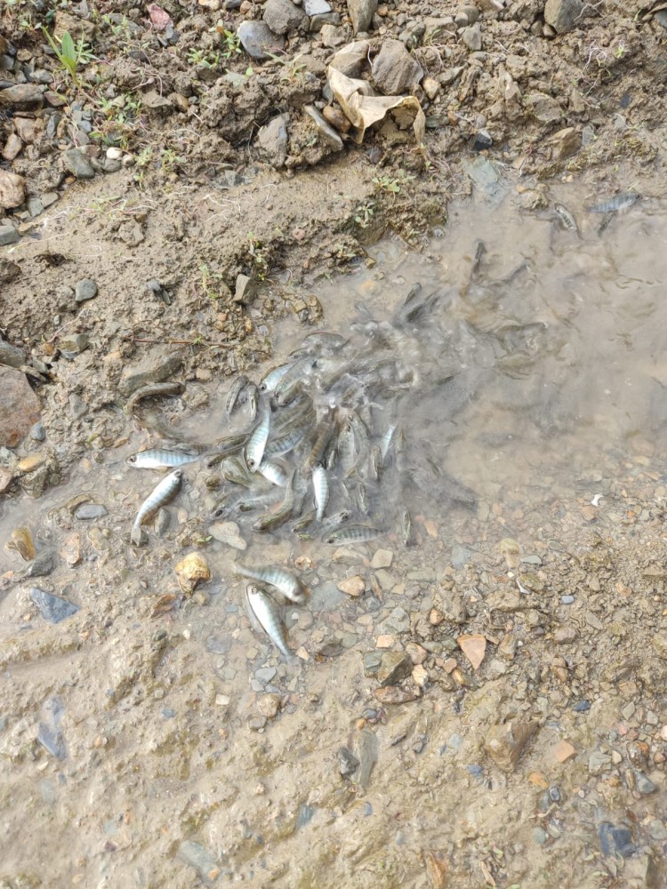 WhatsApp Image 2025-10-20 at 21.40.38 (1).jpeg