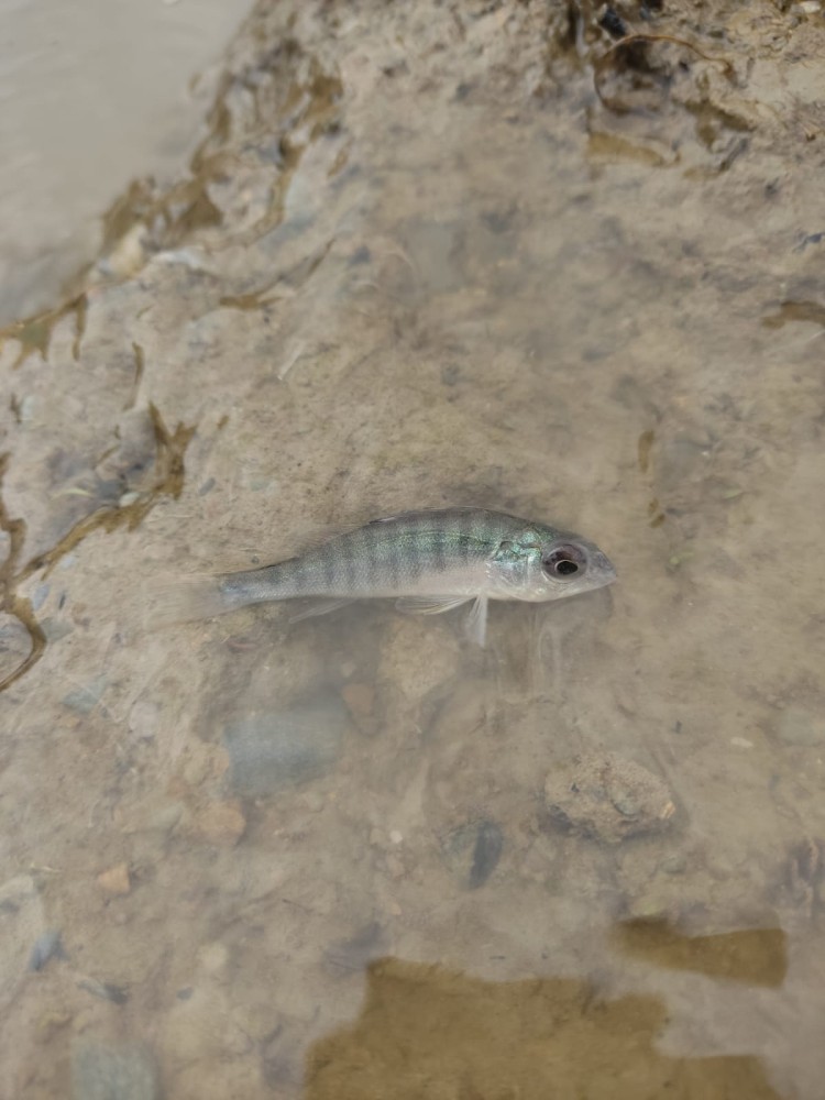 WhatsApp Image 2025-10-20 at 21.40.38.jpeg