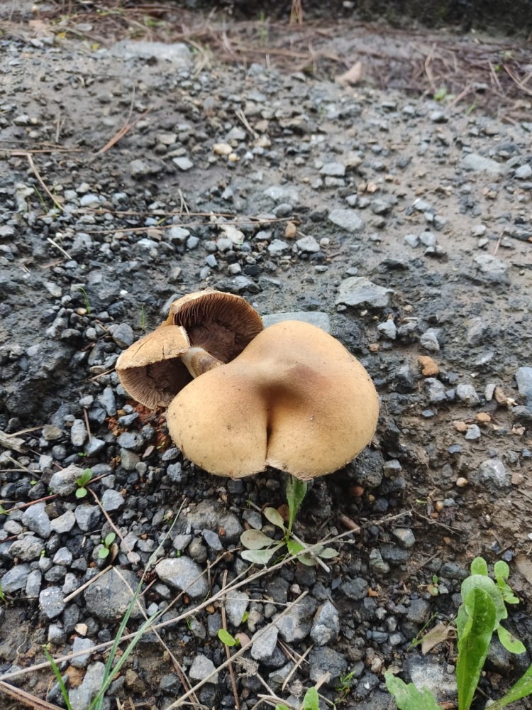 WhatsApp Image 2025-10-20 at 21.40.37.jpeg