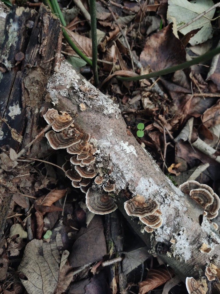 WhatsApp Image 2025-10-20 at 21.40.38 (2).jpeg