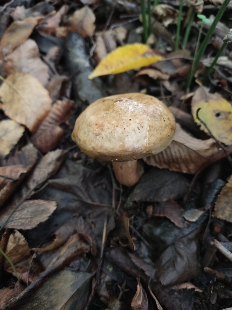 WhatsApp Image 2025-10-20 at 21.40.39 (1).jpeg