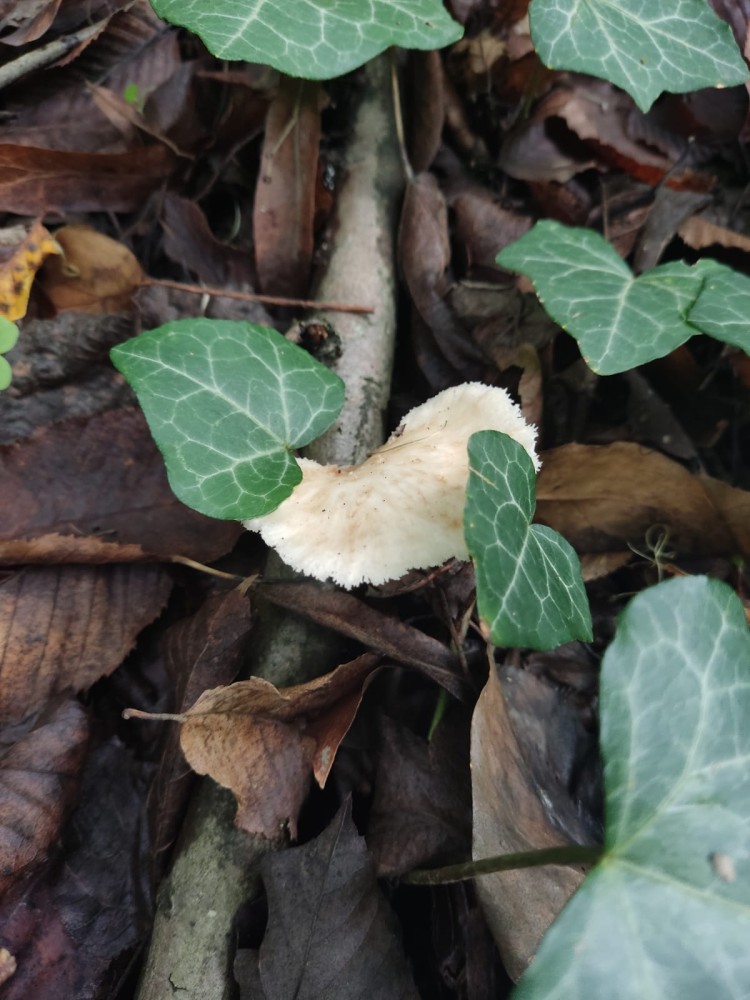 WhatsApp Image 2025-10-20 at 21.40.39 (2).jpeg