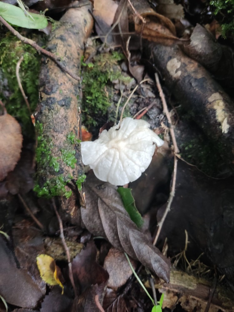 WhatsApp Image 2025-10-20 at 21.40.39 (3).jpeg