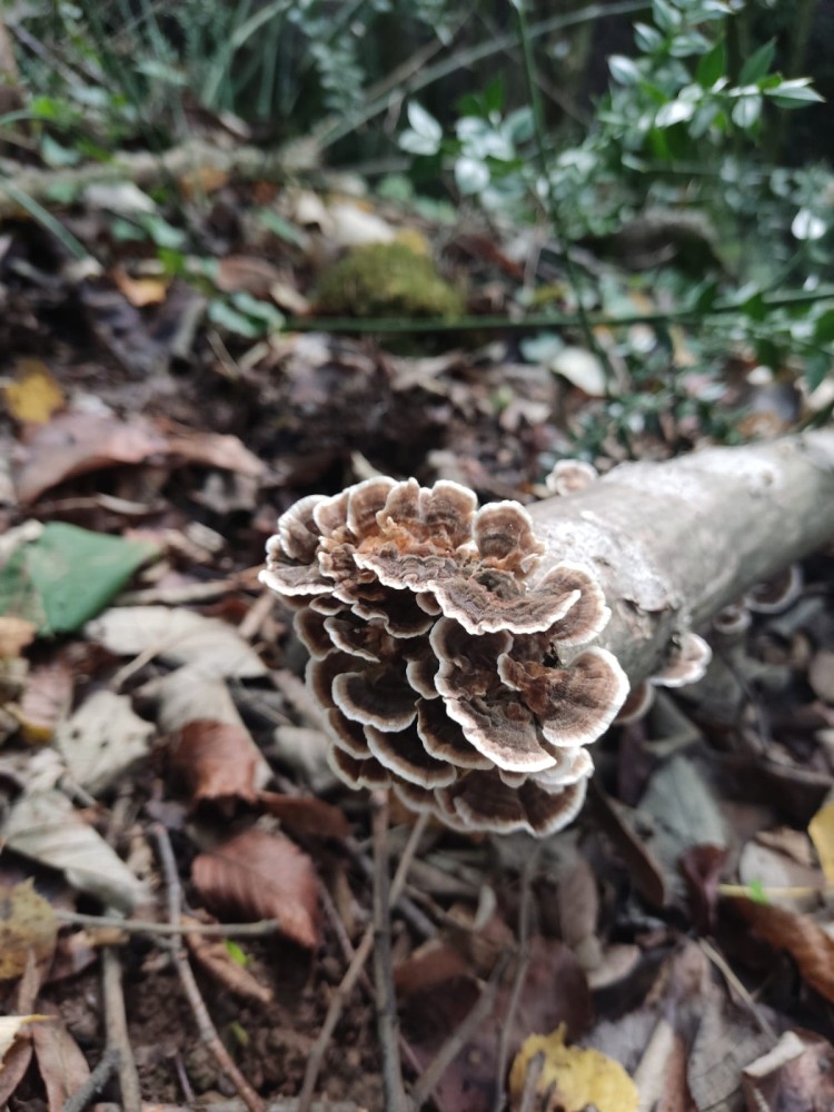 WhatsApp Image 2025-10-20 at 21.40.39.jpeg