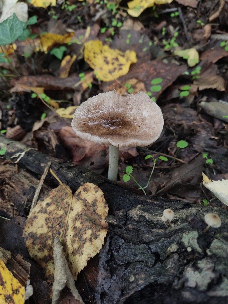 WhatsApp Image 2025-10-20 at 21.40.40 (2).jpeg