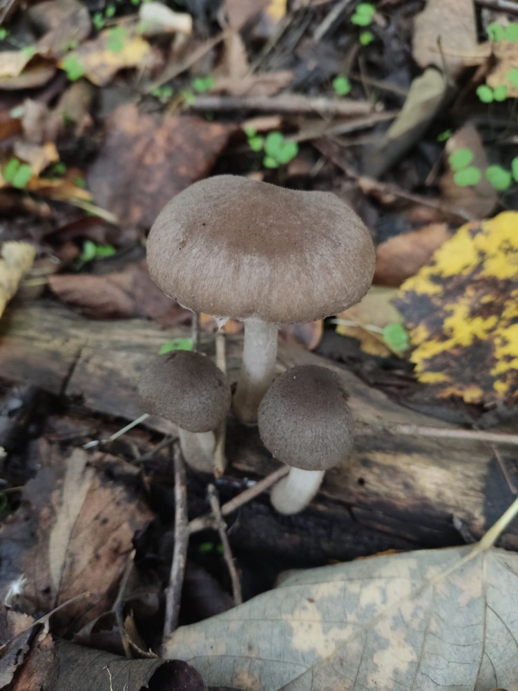 WhatsApp Image 2025-10-20 at 21.40.40 (3).jpeg