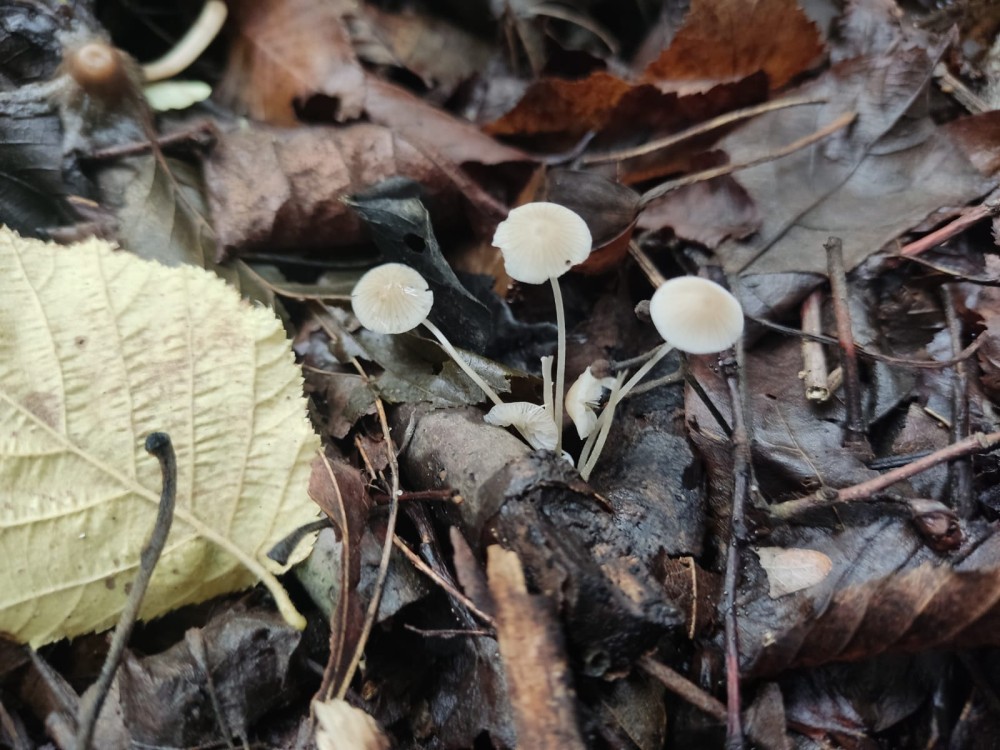 WhatsApp Image 2025-10-20 at 21.40.40.jpeg