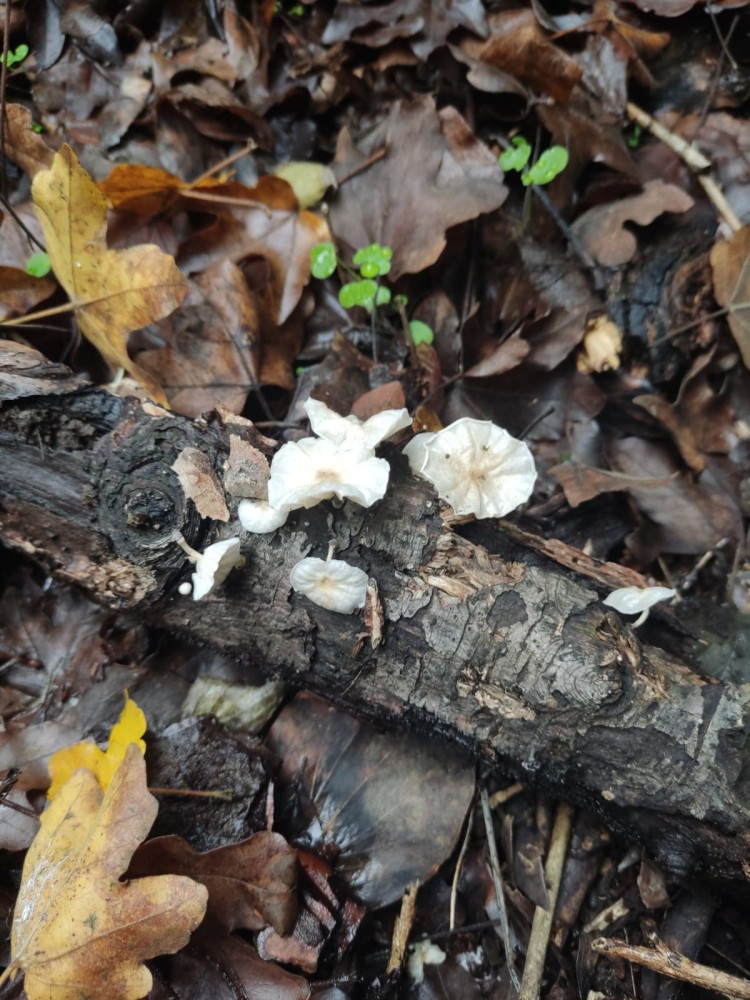 WhatsApp Image 2025-10-20 at 21.40.41 (1).jpeg