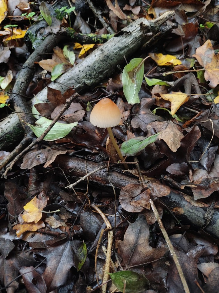 WhatsApp Image 2025-10-20 at 21.40.41 (2).jpeg