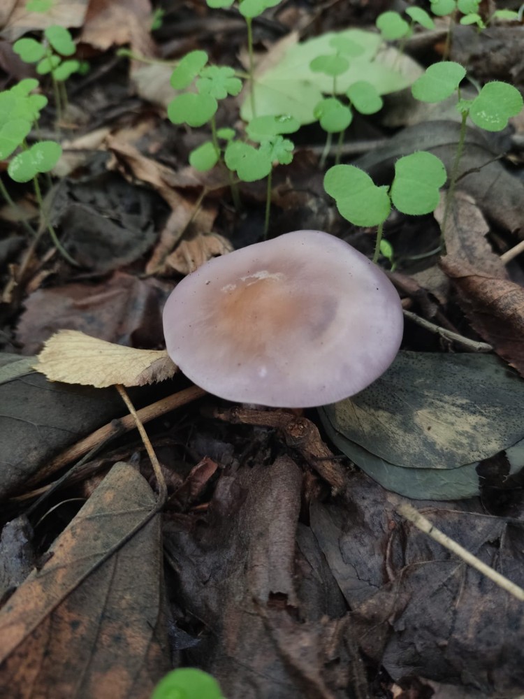 WhatsApp Image 2025-10-20 at 21.40.41.jpeg