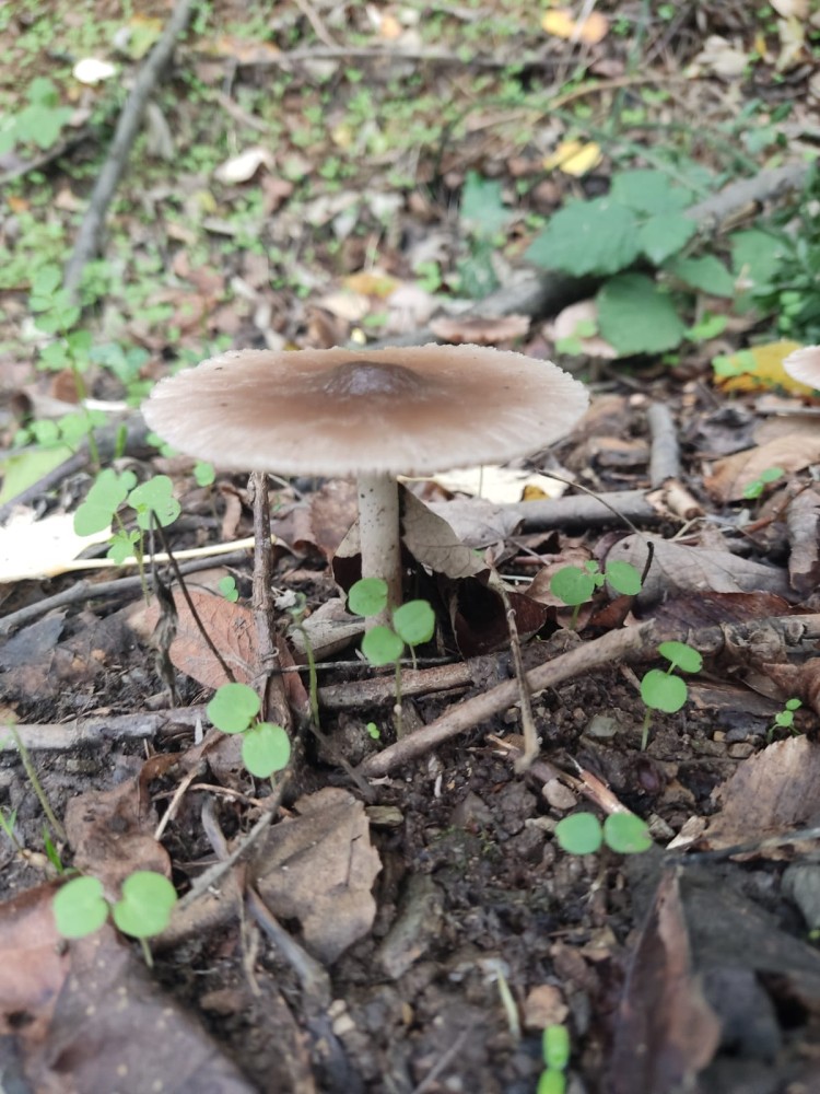 WhatsApp Image 2025-10-20 at 21.40.42 (1).jpeg