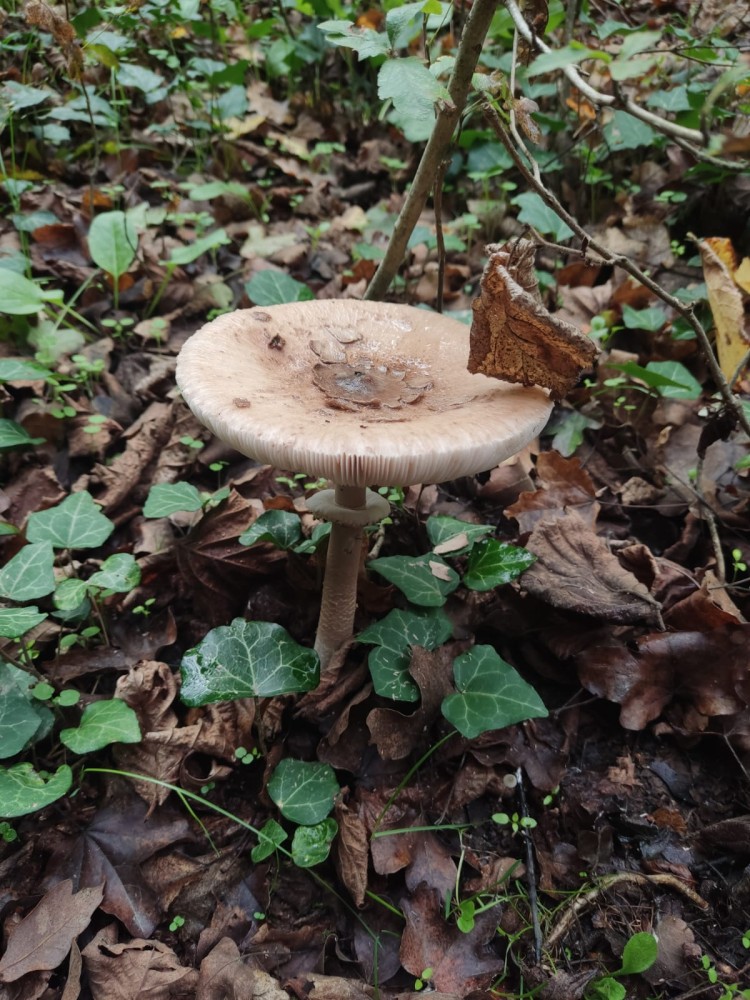 WhatsApp Image 2025-10-20 at 21.40.42 (2).jpeg