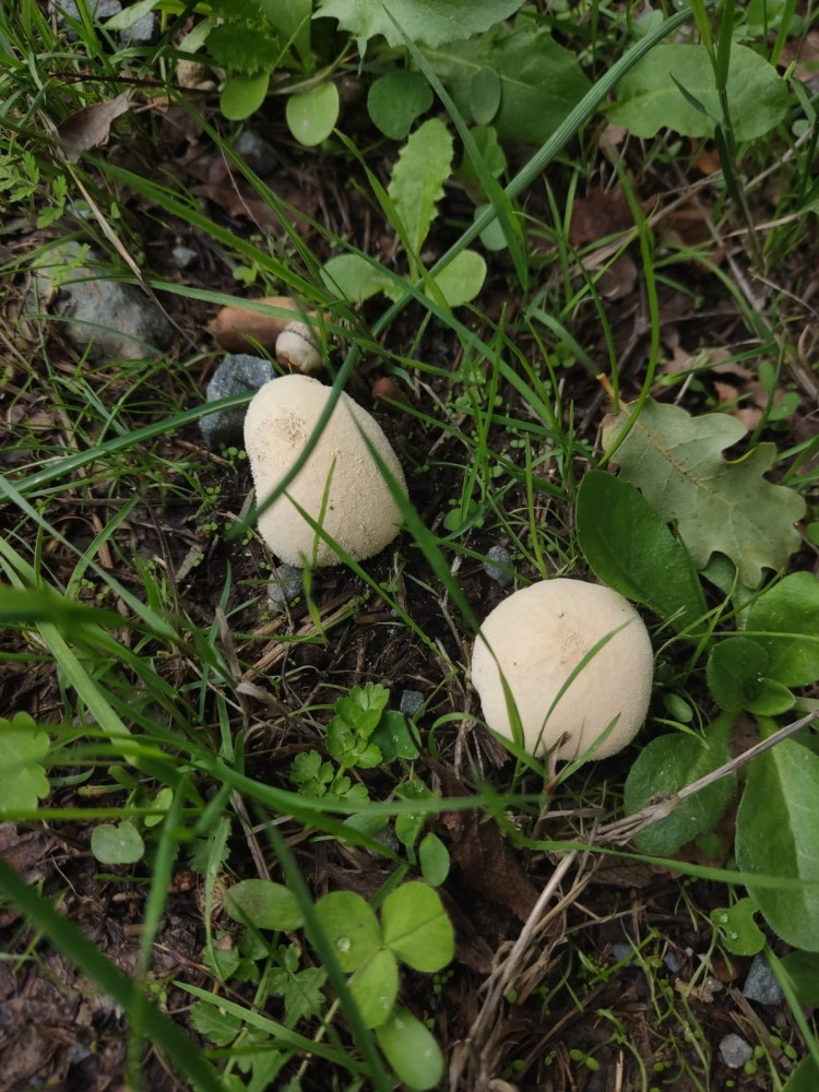 WhatsApp Image 2025-10-20 at 21.40.42 (3).jpeg