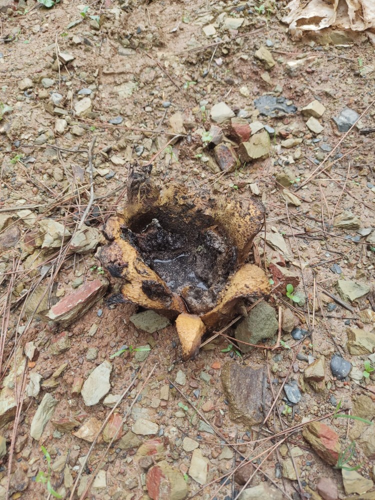 WhatsApp Image 2025-10-20 at 21.40.43 (1).jpeg