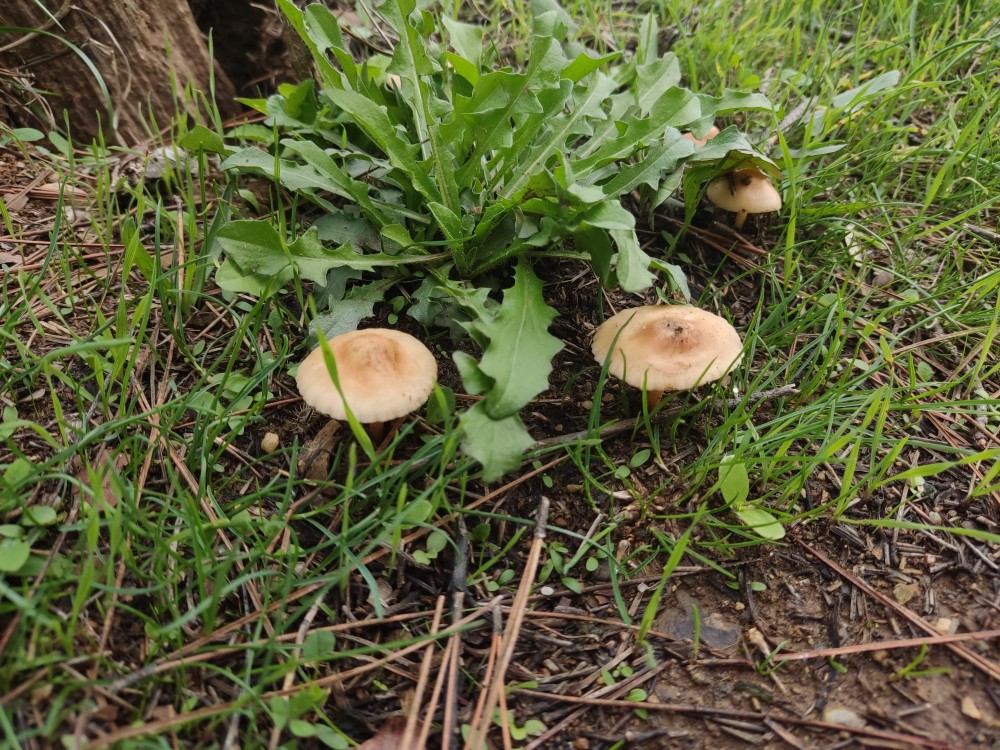 WhatsApp Image 2025-10-20 at 21.40.43 (2).jpeg