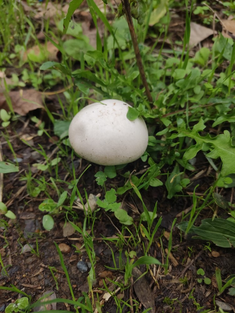 WhatsApp Image 2025-10-20 at 21.40.43.jpeg