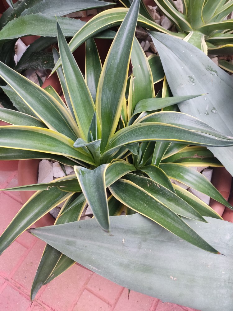 WhatsApp Image 2025-10-20 at 21.40.44 (2).jpeg