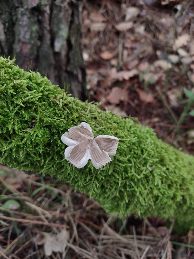 WhatsApp Image 2025-10-26 at 23.22.33 (2).jpeg