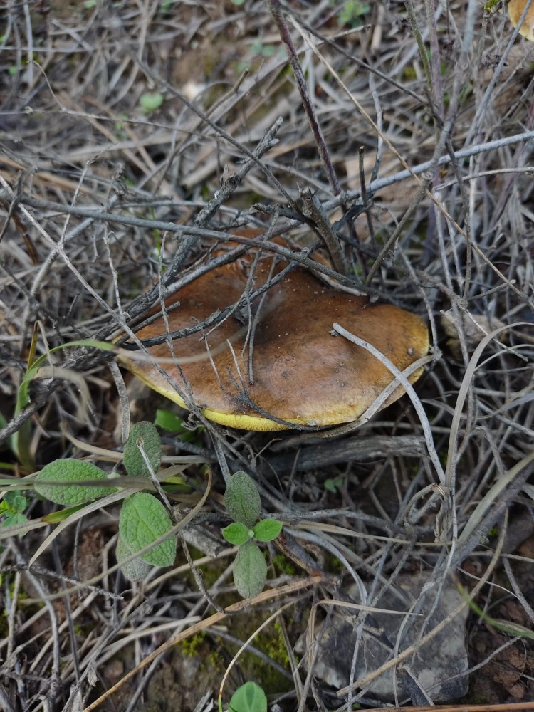 WhatsApp Image 2025-10-26 at 23.22.27.jpeg