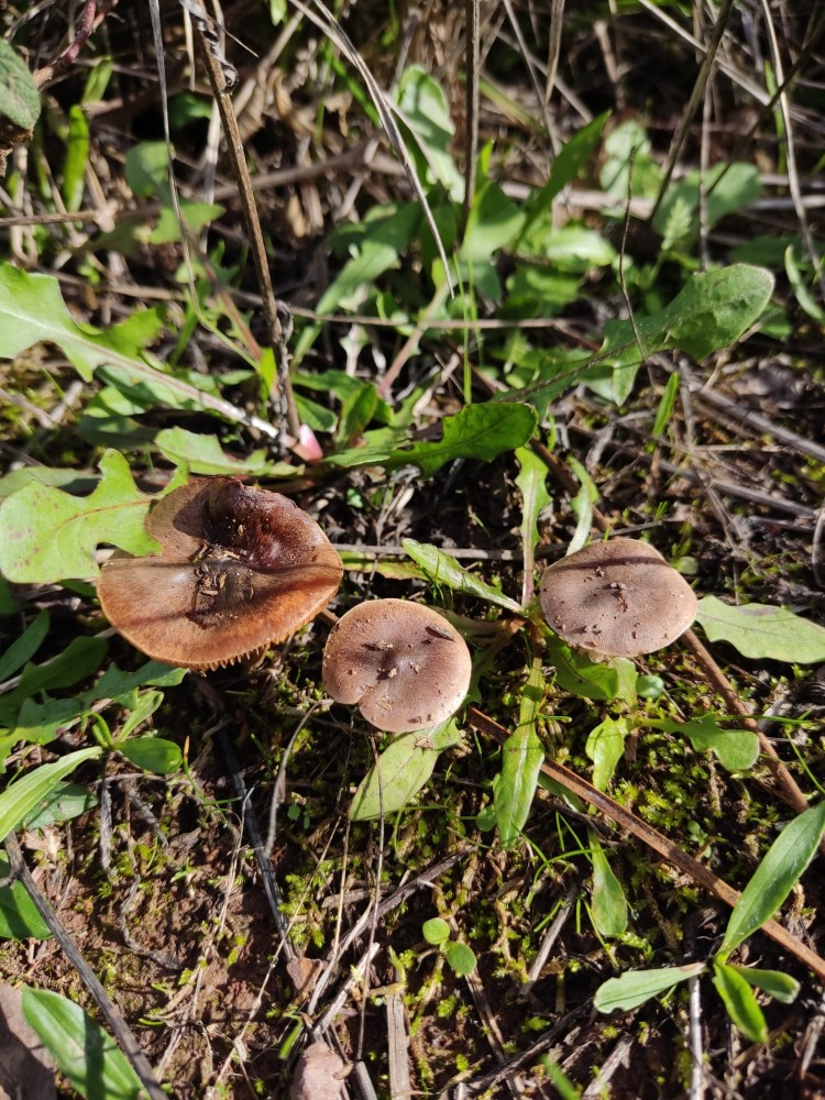 WhatsApp Image 2025-10-26 at 23.22.32 (1).jpeg