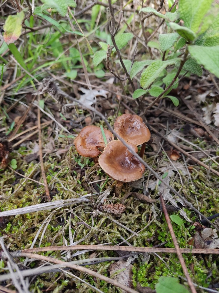 WhatsApp Image 2025-10-26 at 23.22.32 (2).jpeg