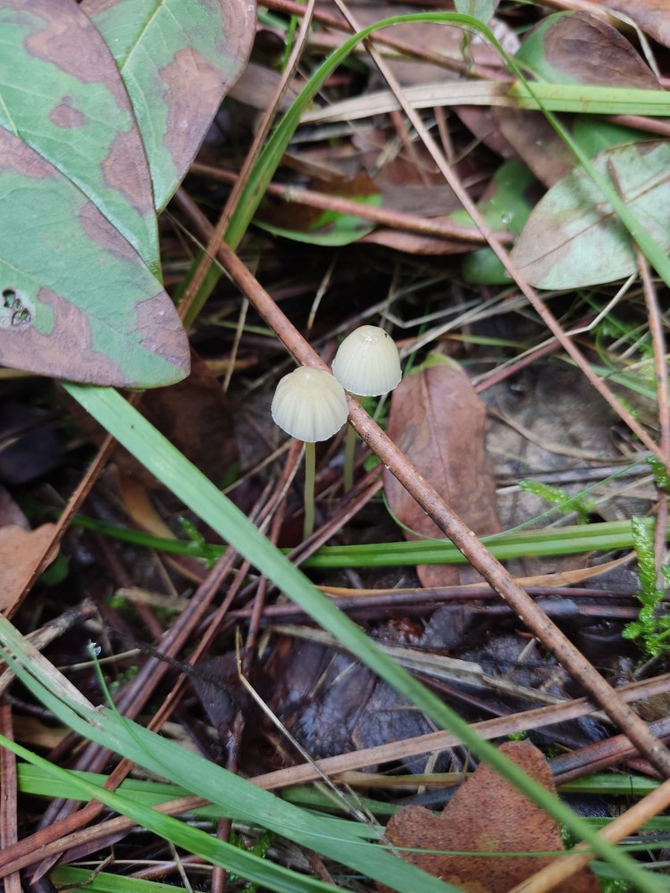 WhatsApp Image 2025-10-26 at 23.22.32 (3).jpeg