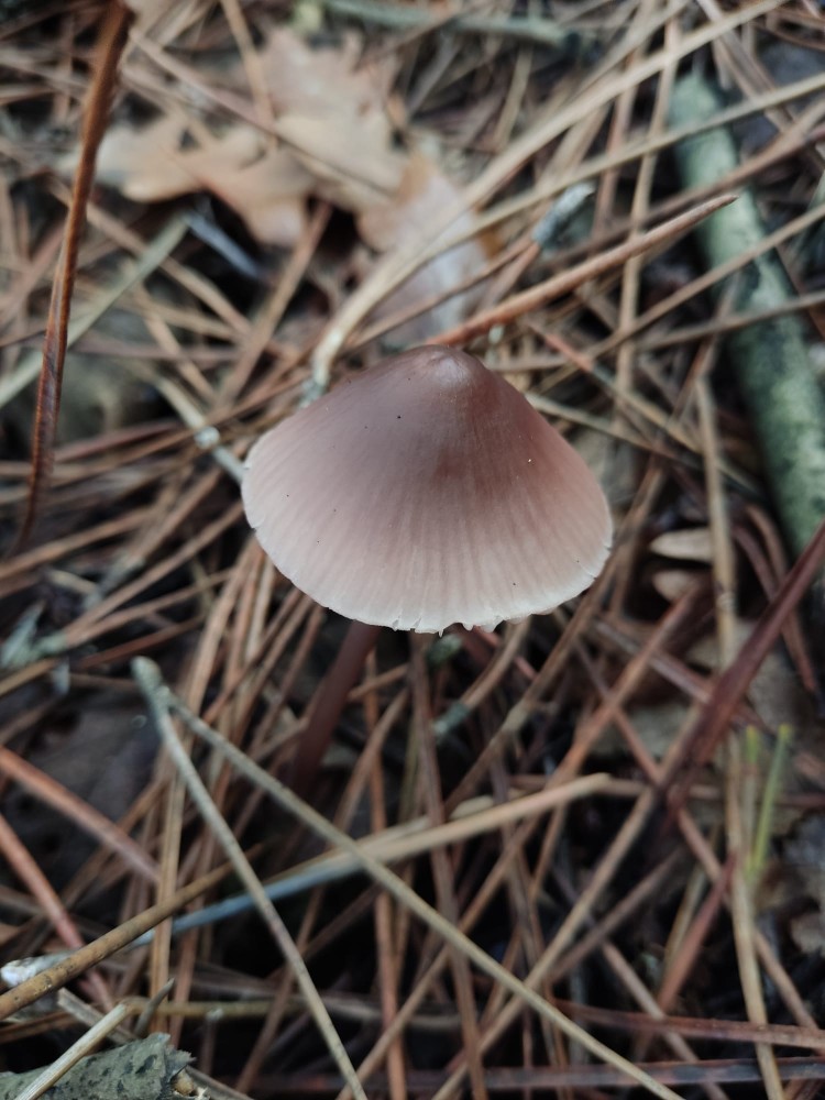 WhatsApp Image 2025-10-26 at 23.22.32 (4).jpeg