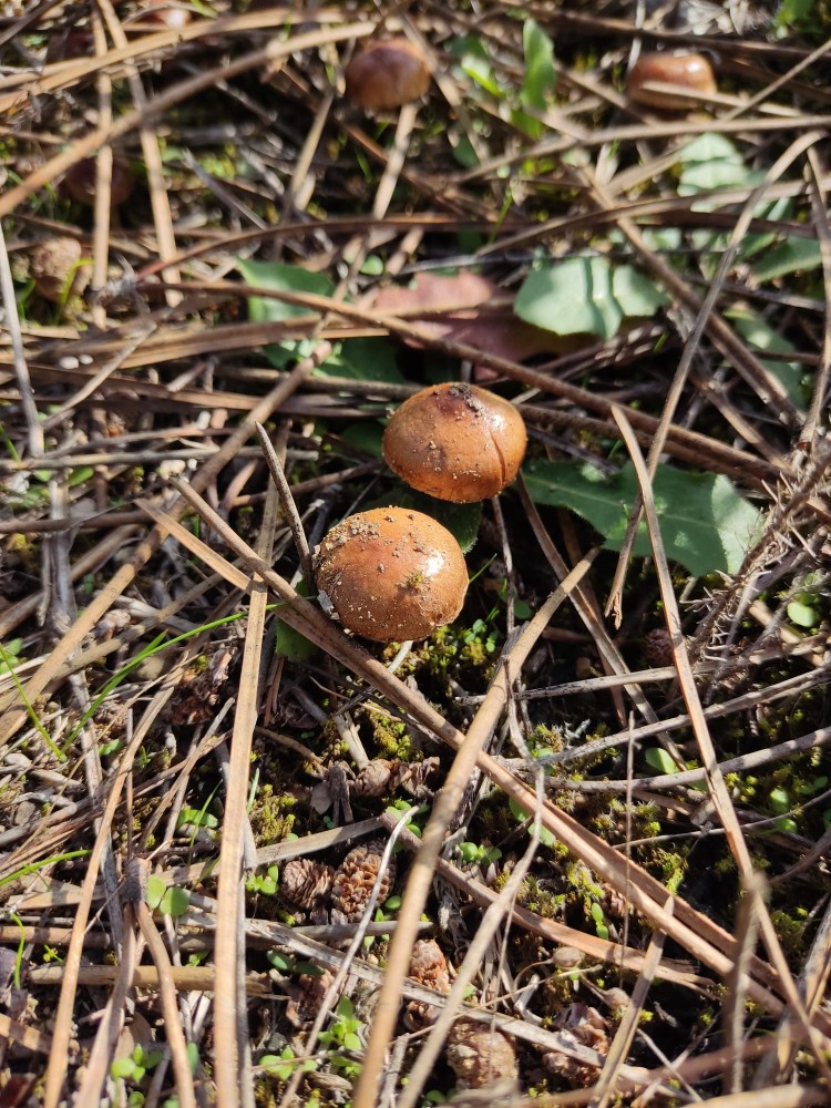 WhatsApp Image 2025-10-26 at 23.22.32.jpeg