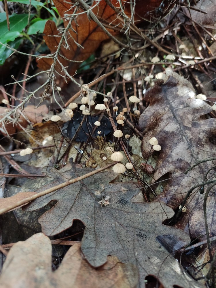 WhatsApp Image 2025-10-26 at 23.22.33 (1).jpeg