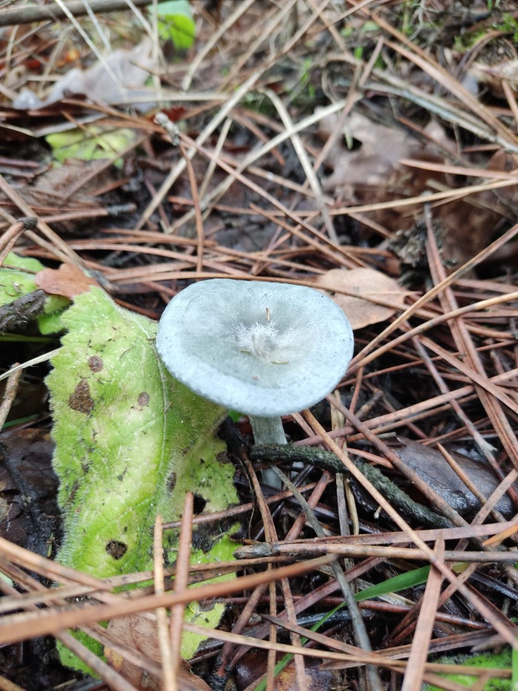 WhatsApp Image 2025-10-26 at 23.22.33 (3).jpeg