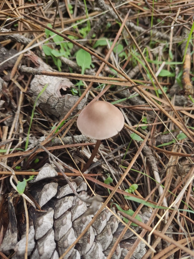 WhatsApp Image 2025-10-26 at 23.22.34.jpeg