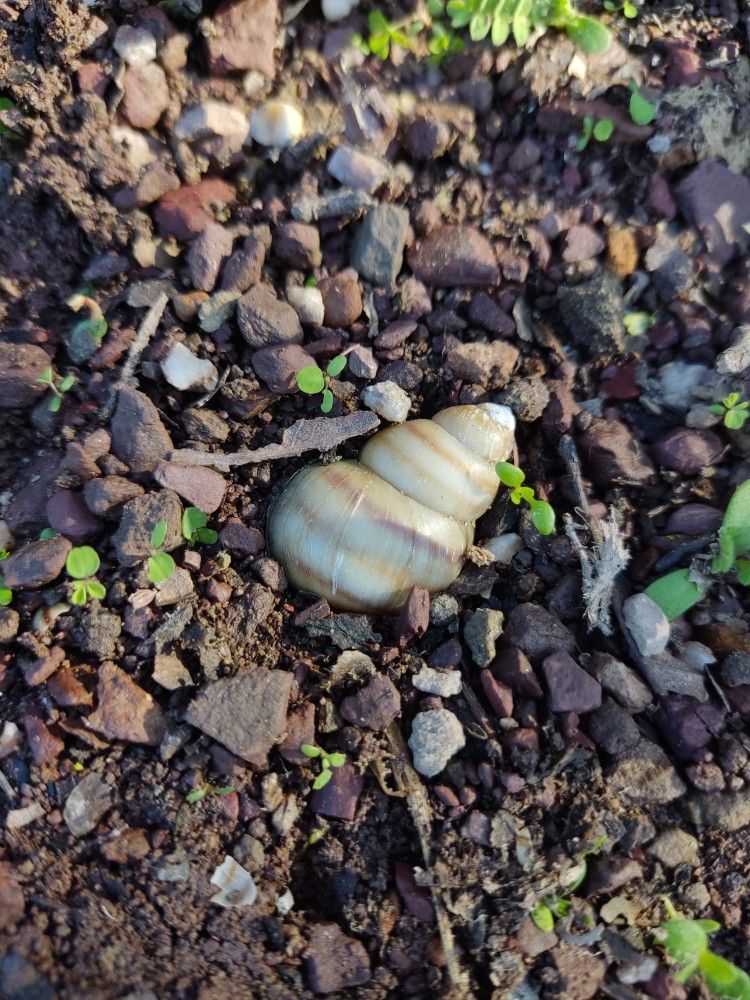 WhatsApp Image 2025-10-26 at 23.22.28.jpeg