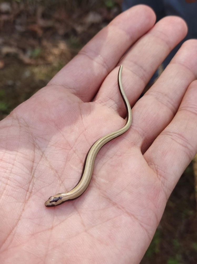 WhatsApp Image 2025-10-26 at 22.14.44.jpeg