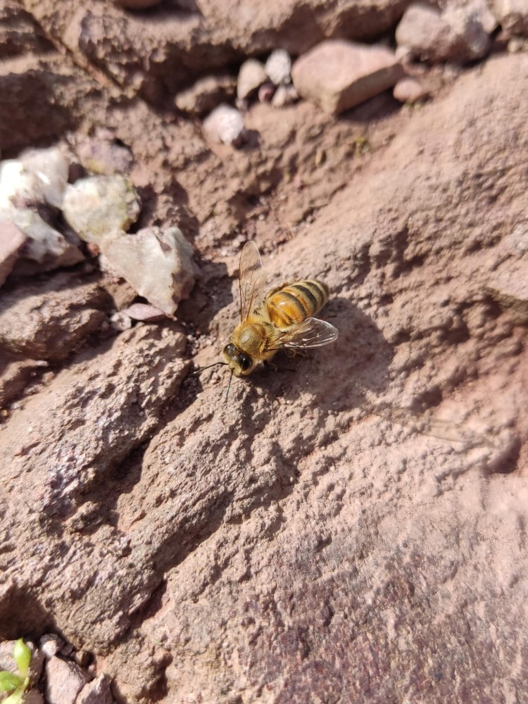 WhatsApp Image 2025-10-26 at 22.14.45.jpeg