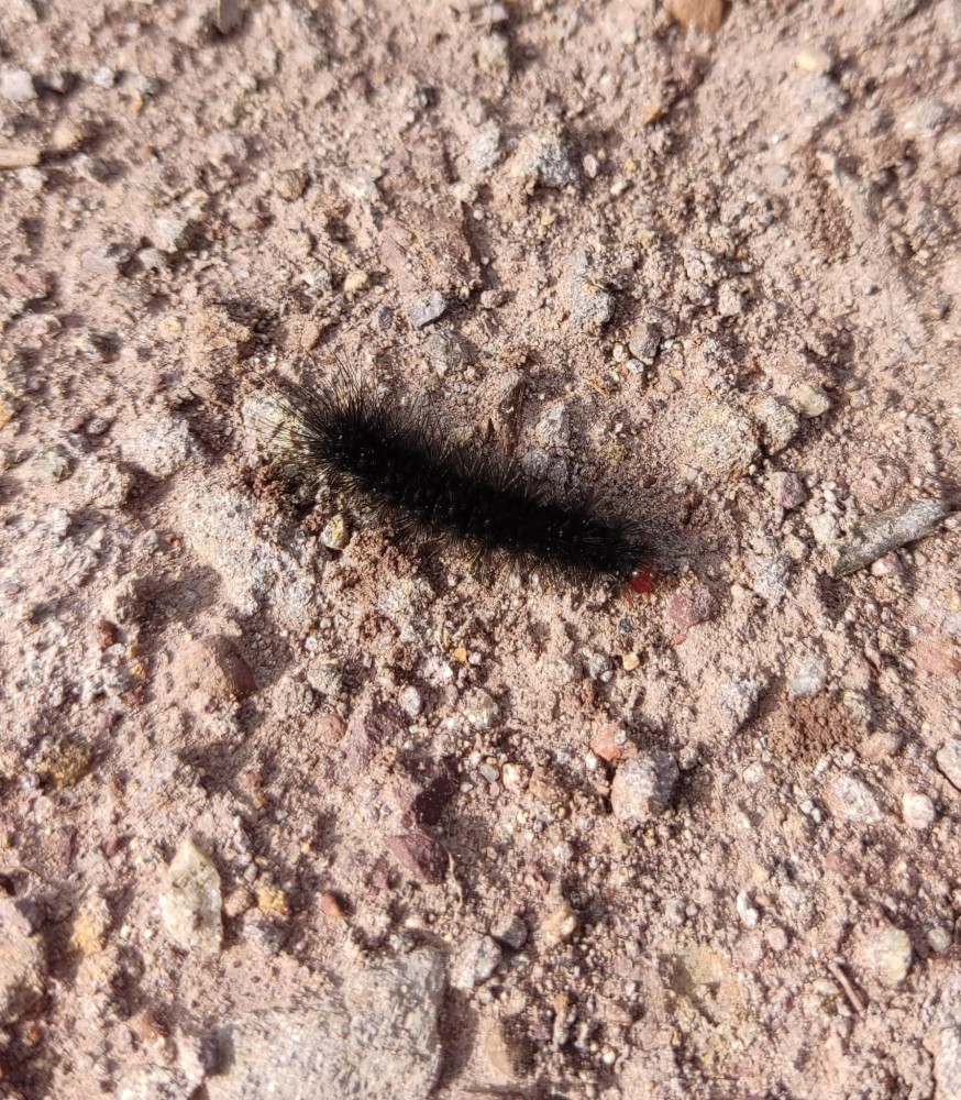 WhatsApp Image 2025-10-26 at 22.14.46.jpeg