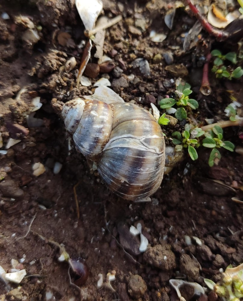 WhatsApp Image 2025-10-26 at 22.14.47.jpeg