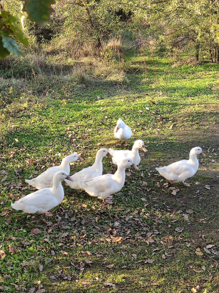 WhatsApp Image 2025-10-26 at 22.14.38.jpeg